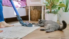 5 tips om zonder veel moeite je huis netjes te houden